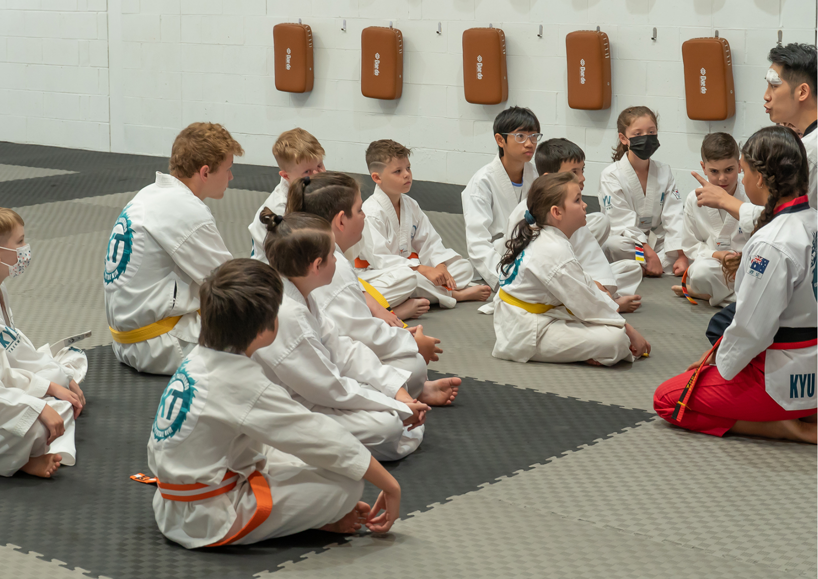 Professional Instruction